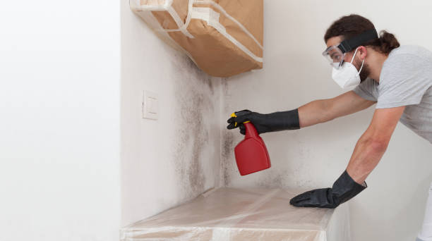 Professional Hvac And Air Duct Mold Remediation technician working in Medford, NY